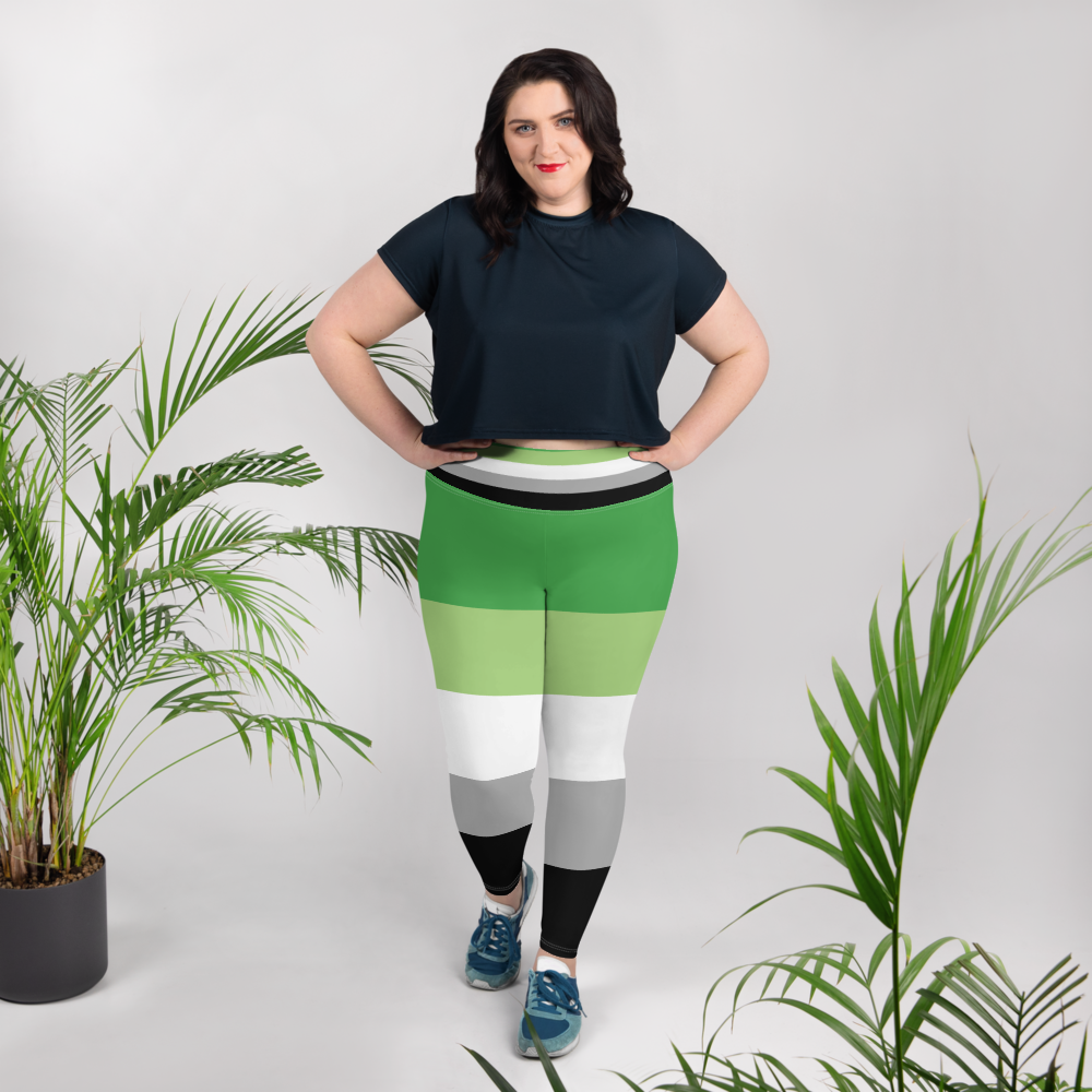 Aro Pride Flag Plus Size Leggings