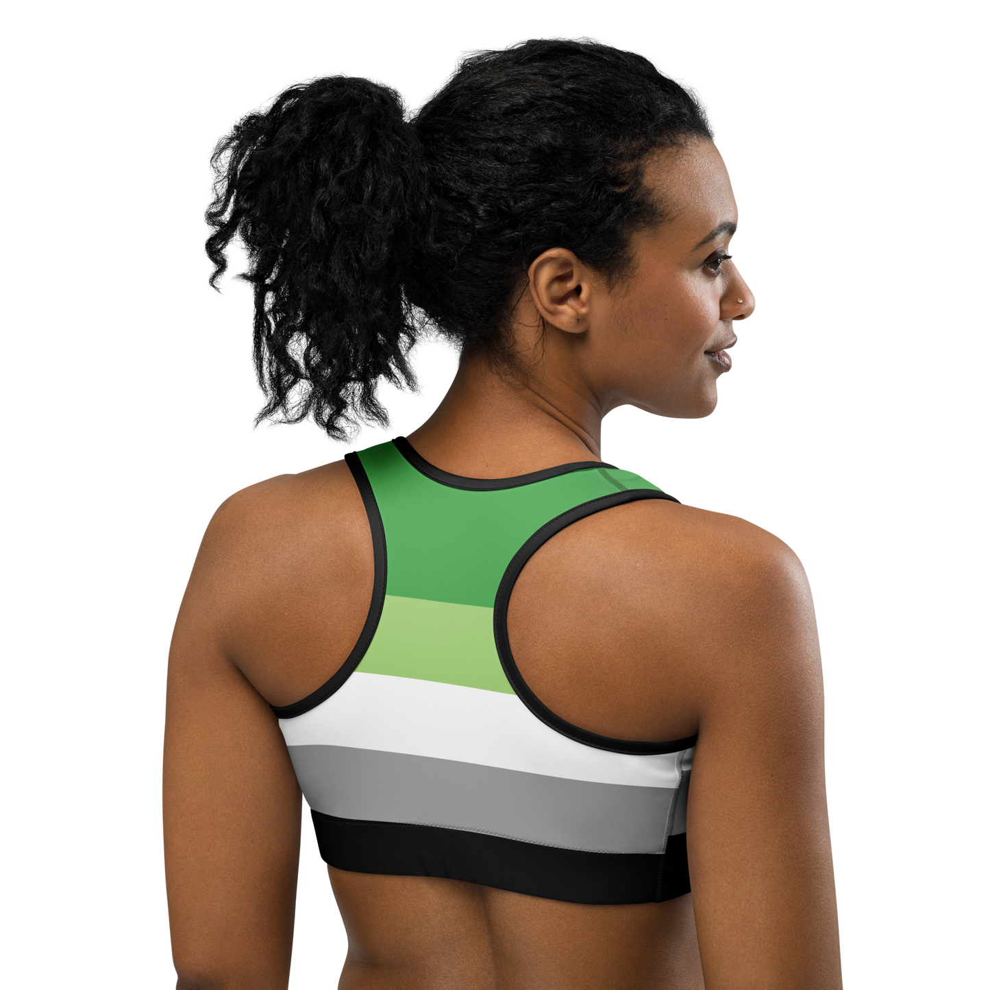 Aro Pride Flag Sports bra