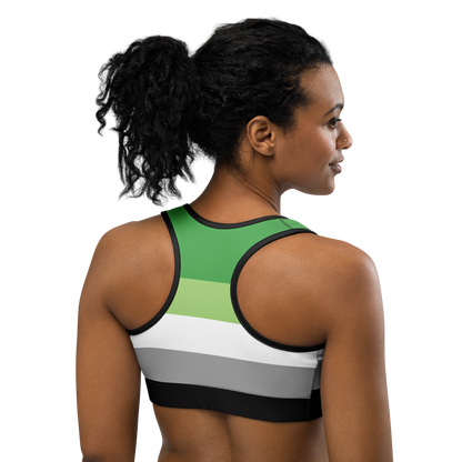 Aro Pride Flag Sports bra