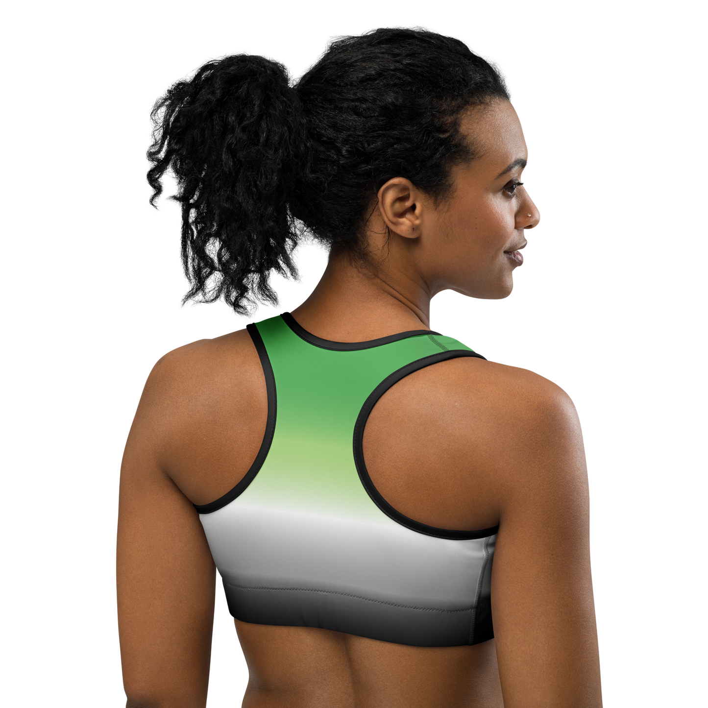 Aro Pride Gradient Sports bra