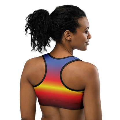 Poly Pride Gradient Sports bra