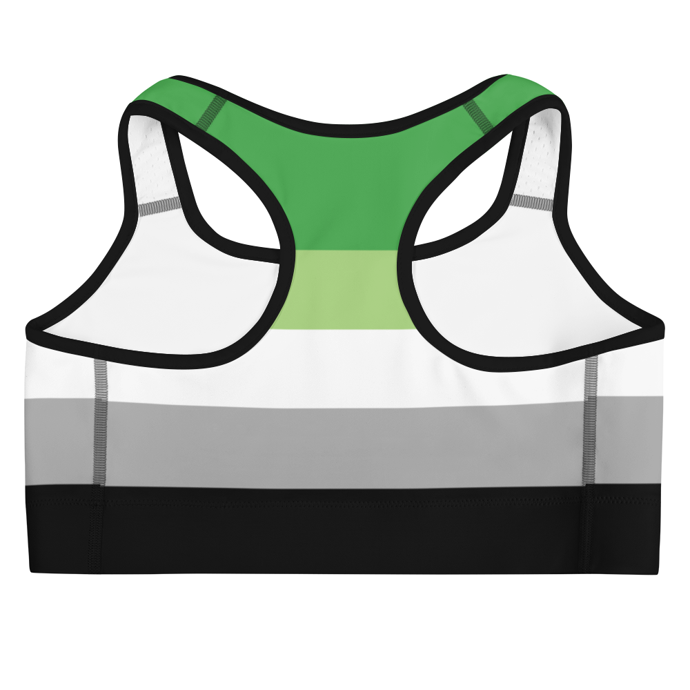 Aro Pride Flag Sports bra