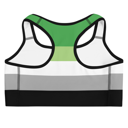 Aro Pride Flag Sports bra