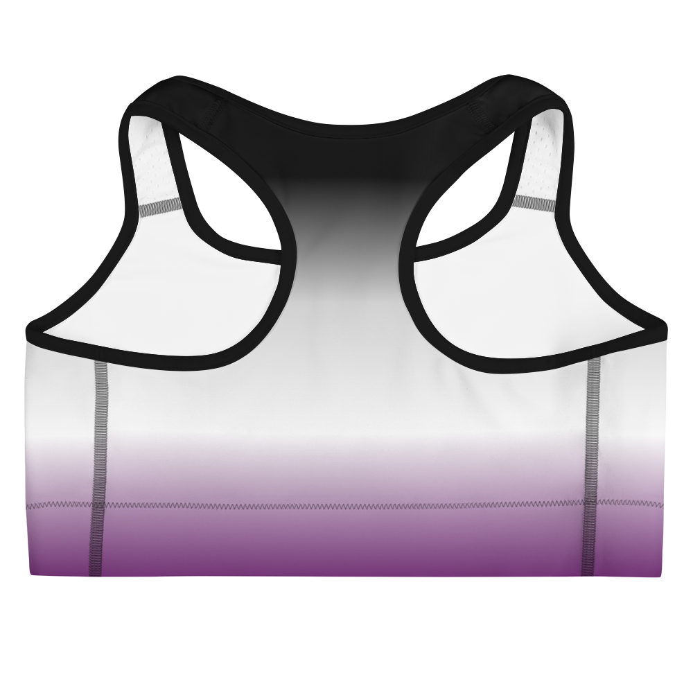 Ace Pride Gradient Sports bra