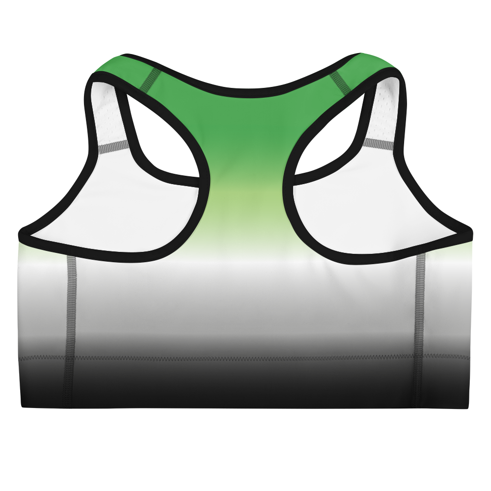 Aro Pride Gradient Sports bra