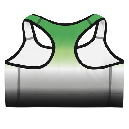 Aro Pride Gradient Sports bra