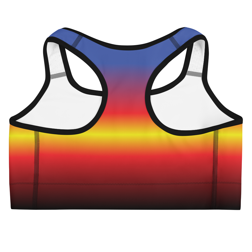 Poly Pride Gradient Sports bra