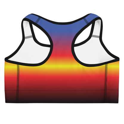 Poly Pride Gradient Sports bra