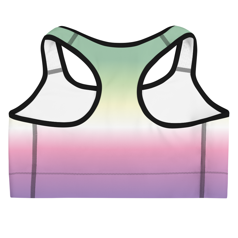 Genderfae Pride Gradient Sports bra