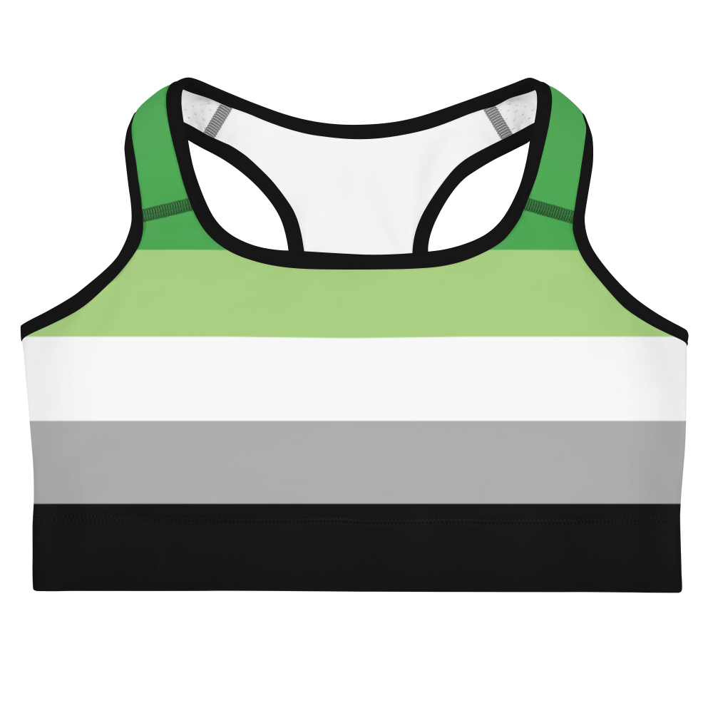 Aro Pride Flag Sports bra