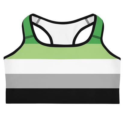 Aro Pride Flag Sports bra