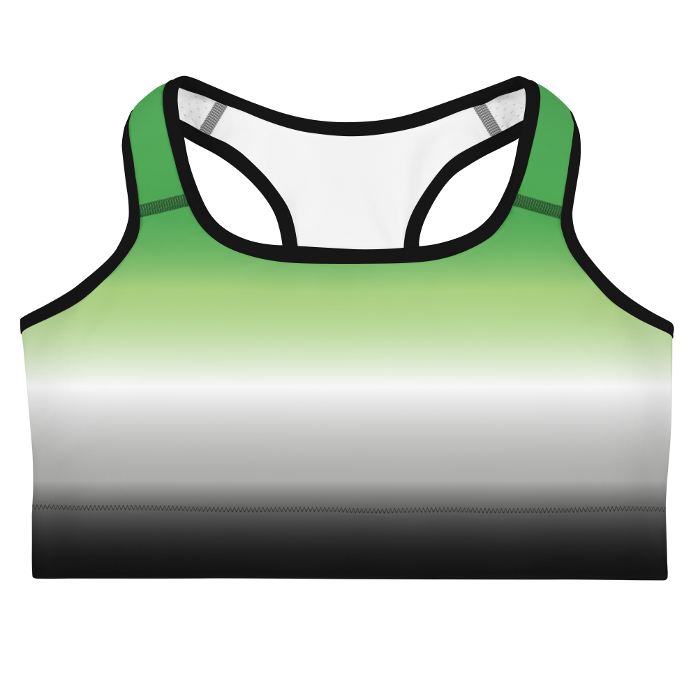 Aro Pride Gradient Sports bra