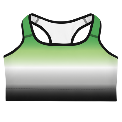 Aro Pride Gradient Sports bra