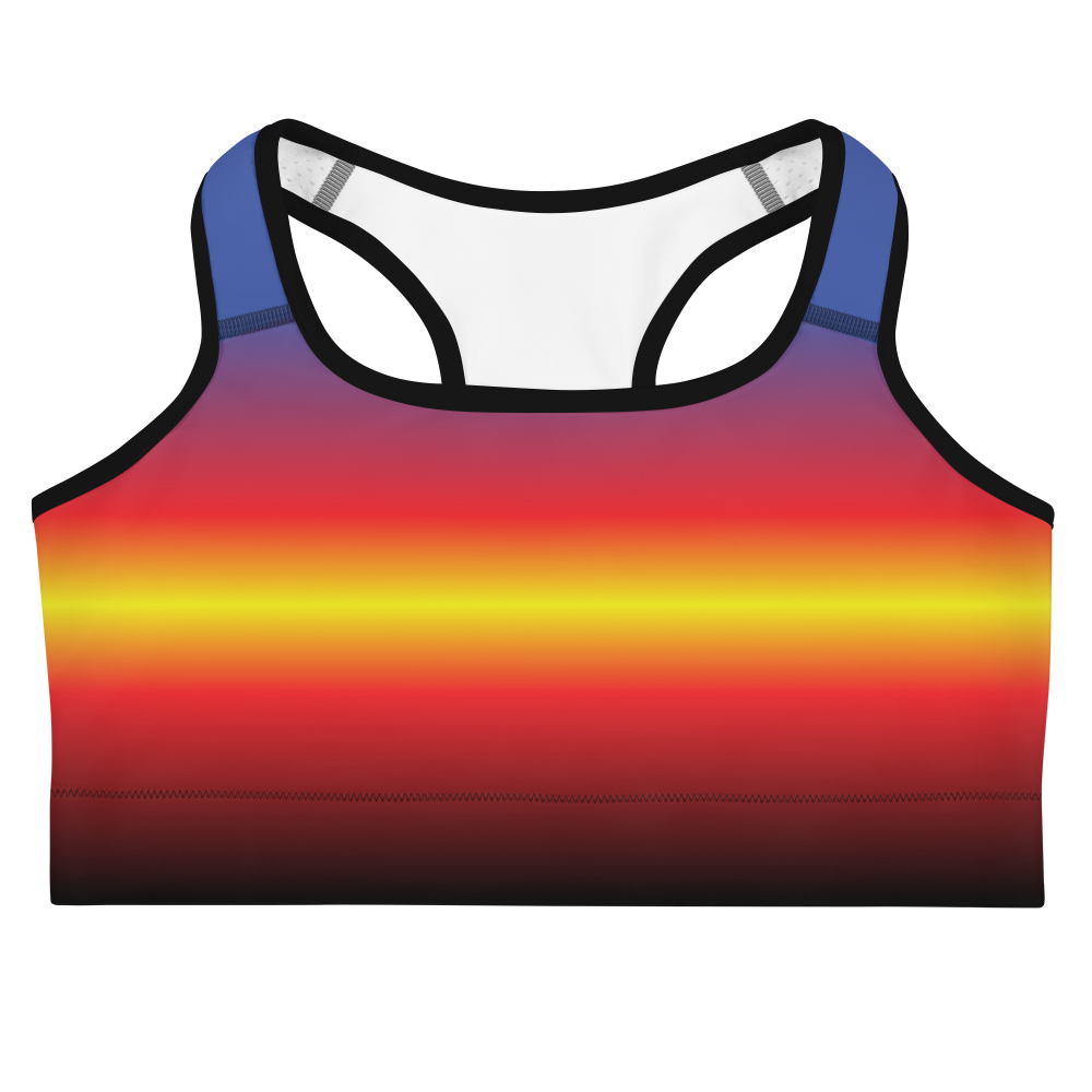 Poly Pride Gradient Sports bra