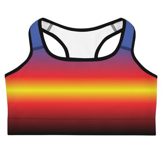 Poly Pride Gradient Sports bra