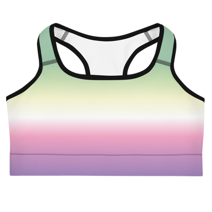 Genderfae Pride Gradient Sports bra