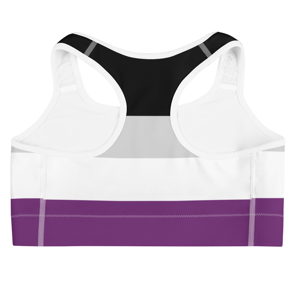 Ace Pride Flag Sports bra