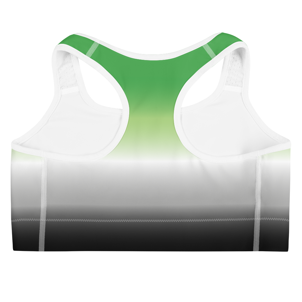 Aro Pride Gradient Sports bra