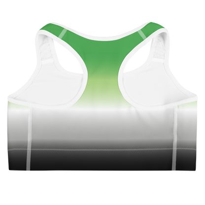 Aro Pride Gradient Sports bra