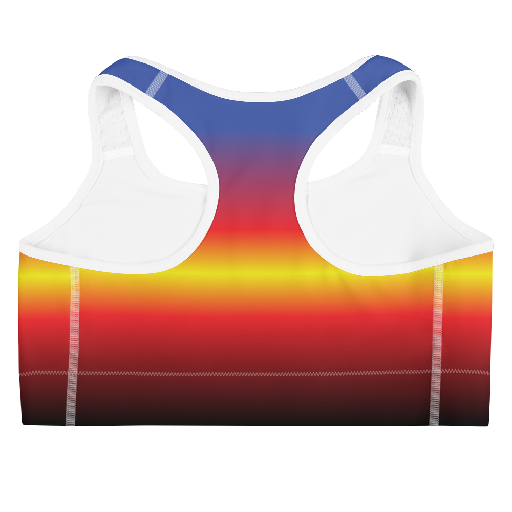 Poly Pride Gradient Sports bra