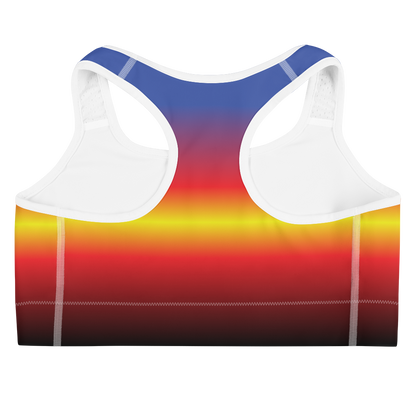 Poly Pride Gradient Sports bra