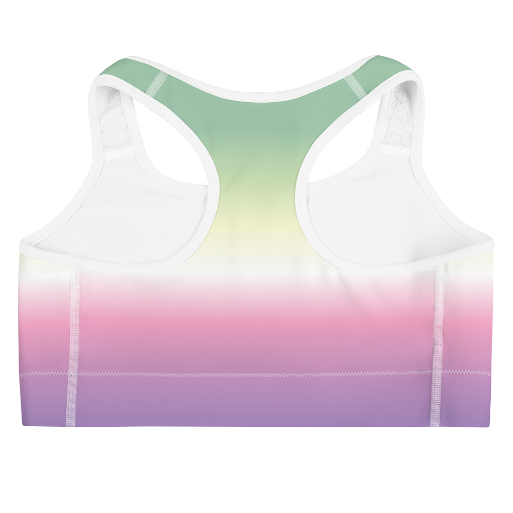 Genderfae Pride Gradient Sports bra