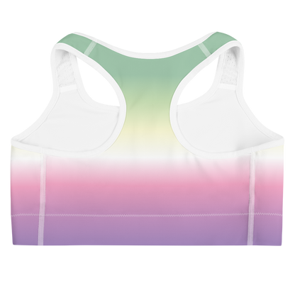 Genderfae Pride Gradient Sports bra