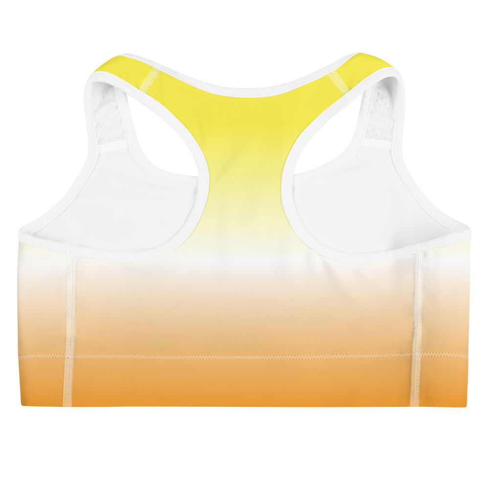 Maverique Pride Gradient Sports bra