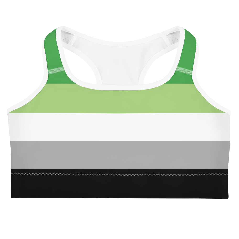 Aro Pride Flag Sports bra