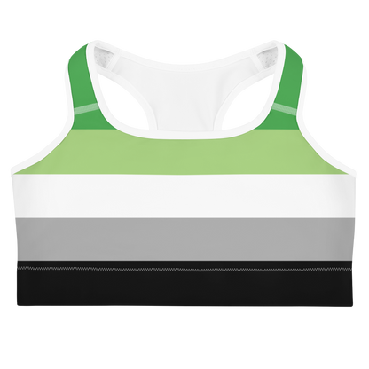 Aro Pride Flag Sports bra