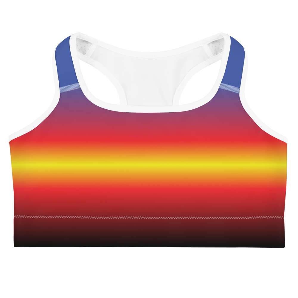 Poly Pride Gradient Sports bra