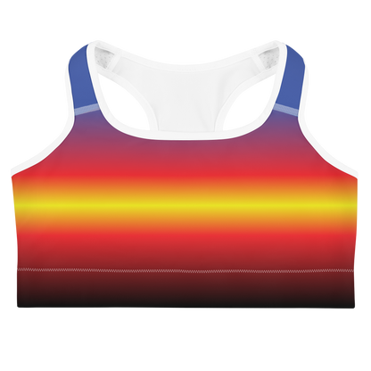 Poly Pride Gradient Sports bra