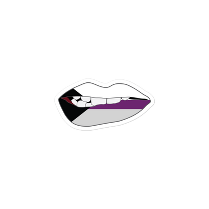 Biting Lips - Demisexual Flag