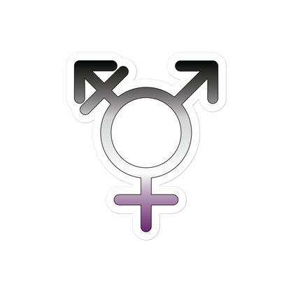 Transgender Symbol - Asexual/Demisexual Pride