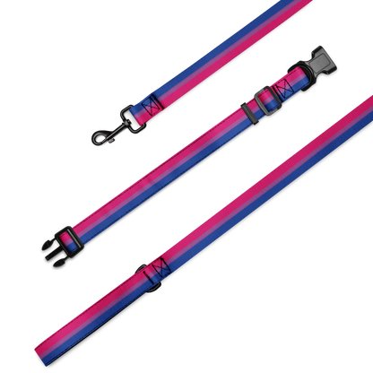 Bi Pride Flag Pet collar & leash