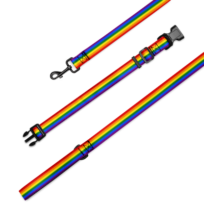 Rainbow Pride Flag Pet collar & leash