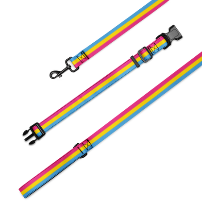 Pan Pride Flag Pet collar & leash