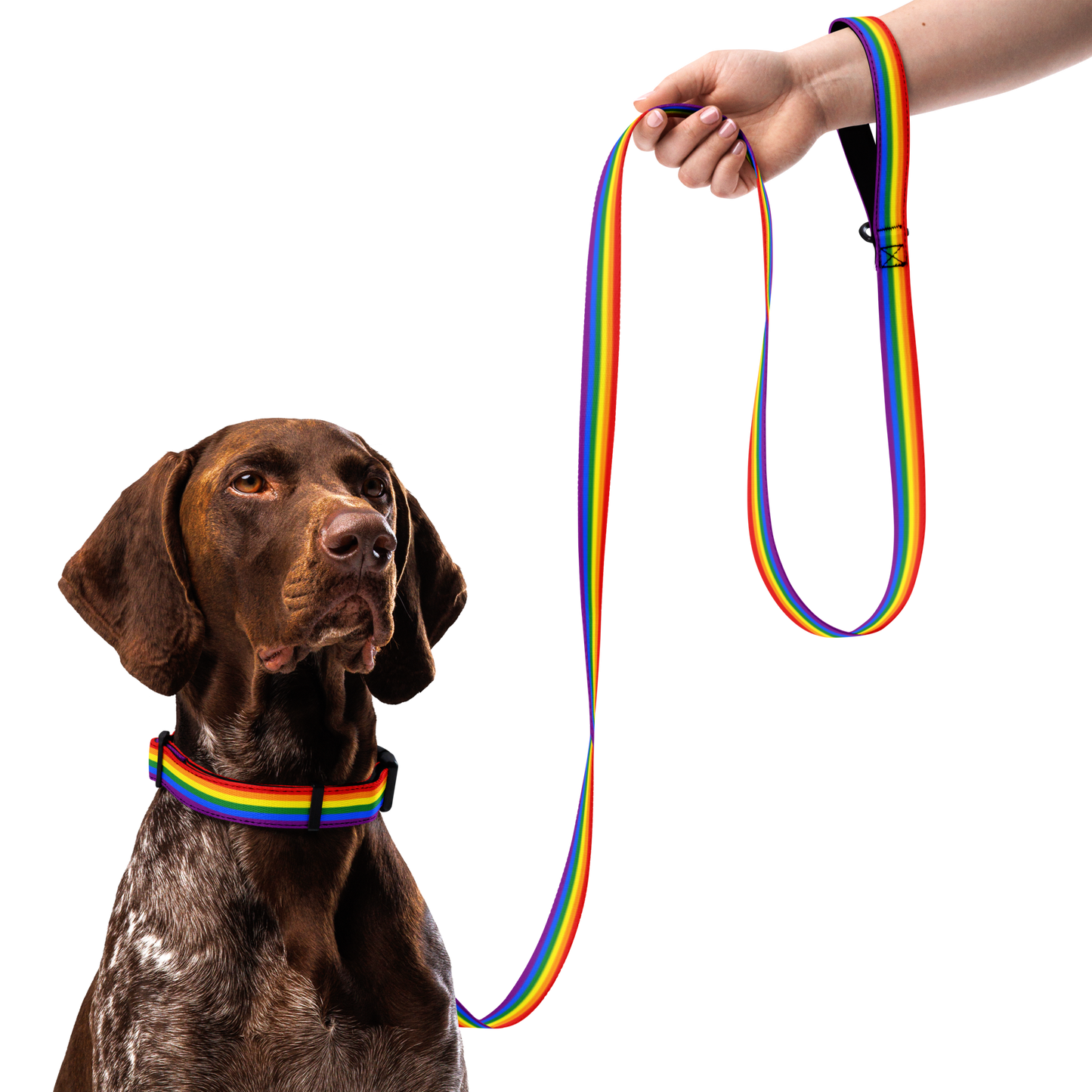 Rainbow Pride Flag Pet collar & leash