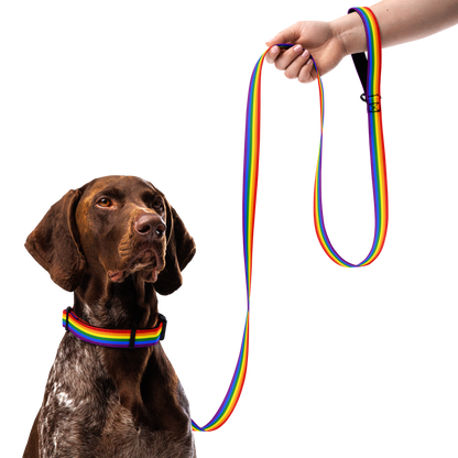 Rainbow Pride Flag Pet collar & leash