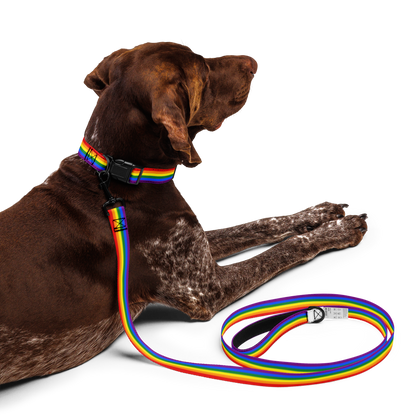 Rainbow Pride Flag Pet collar & leash