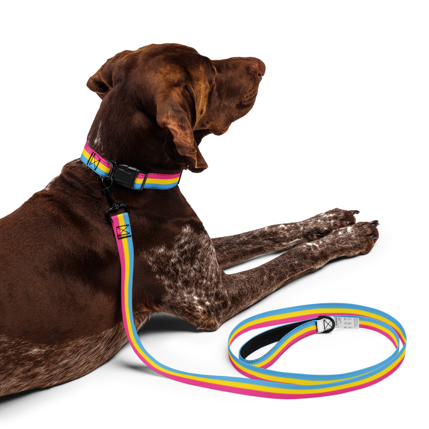 Pan Pride Flag Pet collar & leash