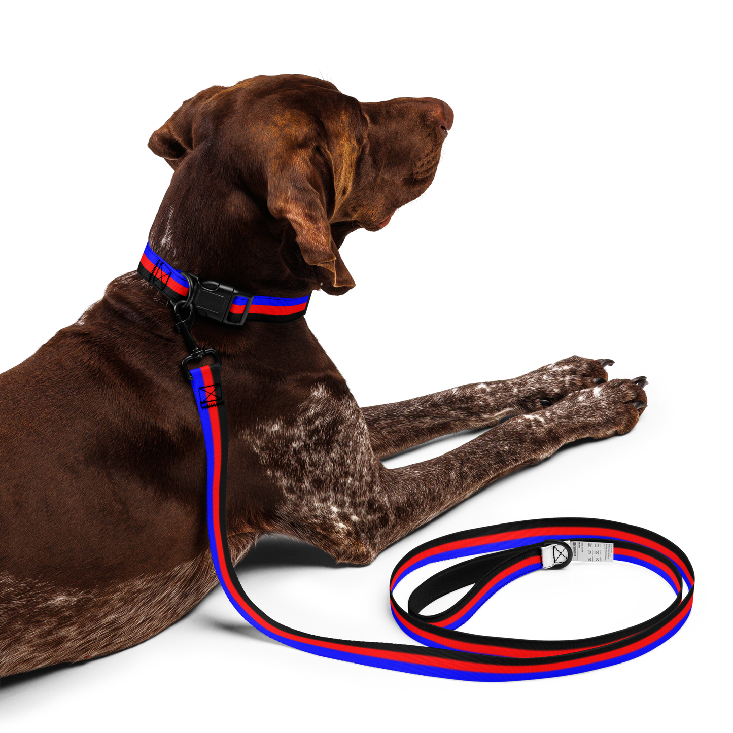 Poly Pride Flag Pet collar & leash