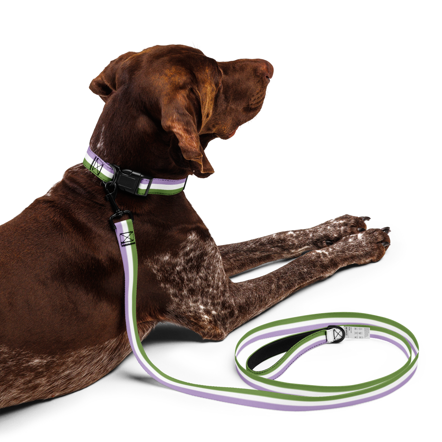 Genderqueer Pride Flag Pet collar & leash