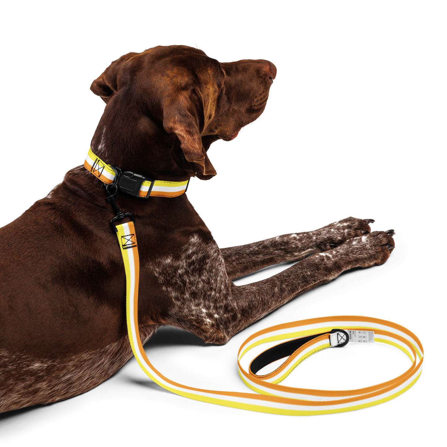 Maverique Pride Flag Pet collar & leash