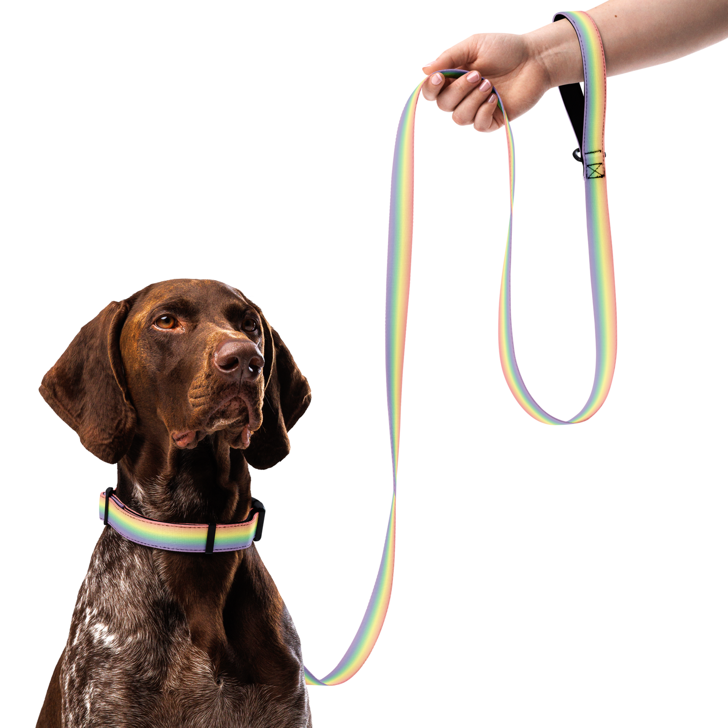 Fag Pet collar & leash