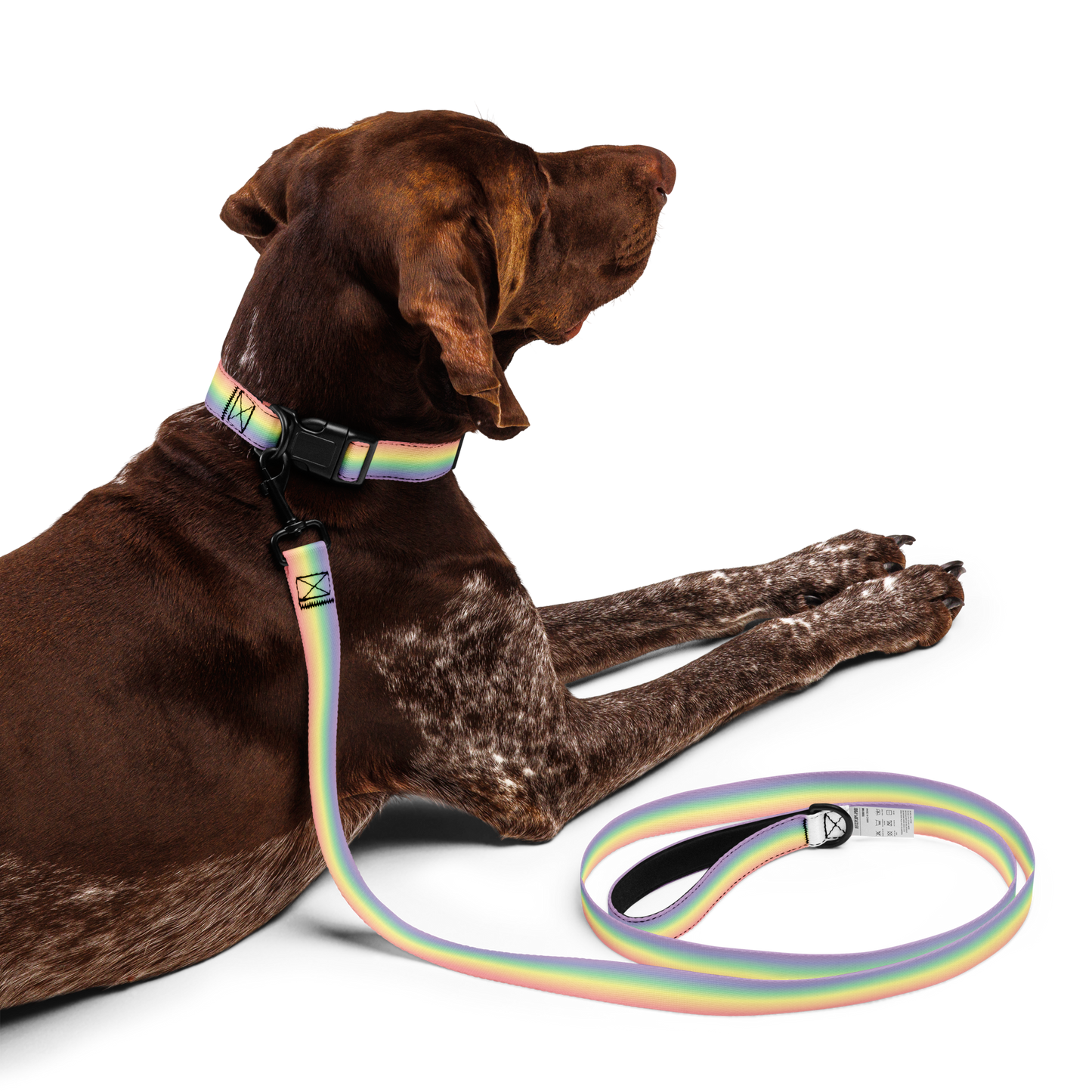 Fag Pet collar & leash