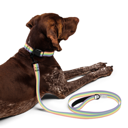 Fag Pet collar & leash