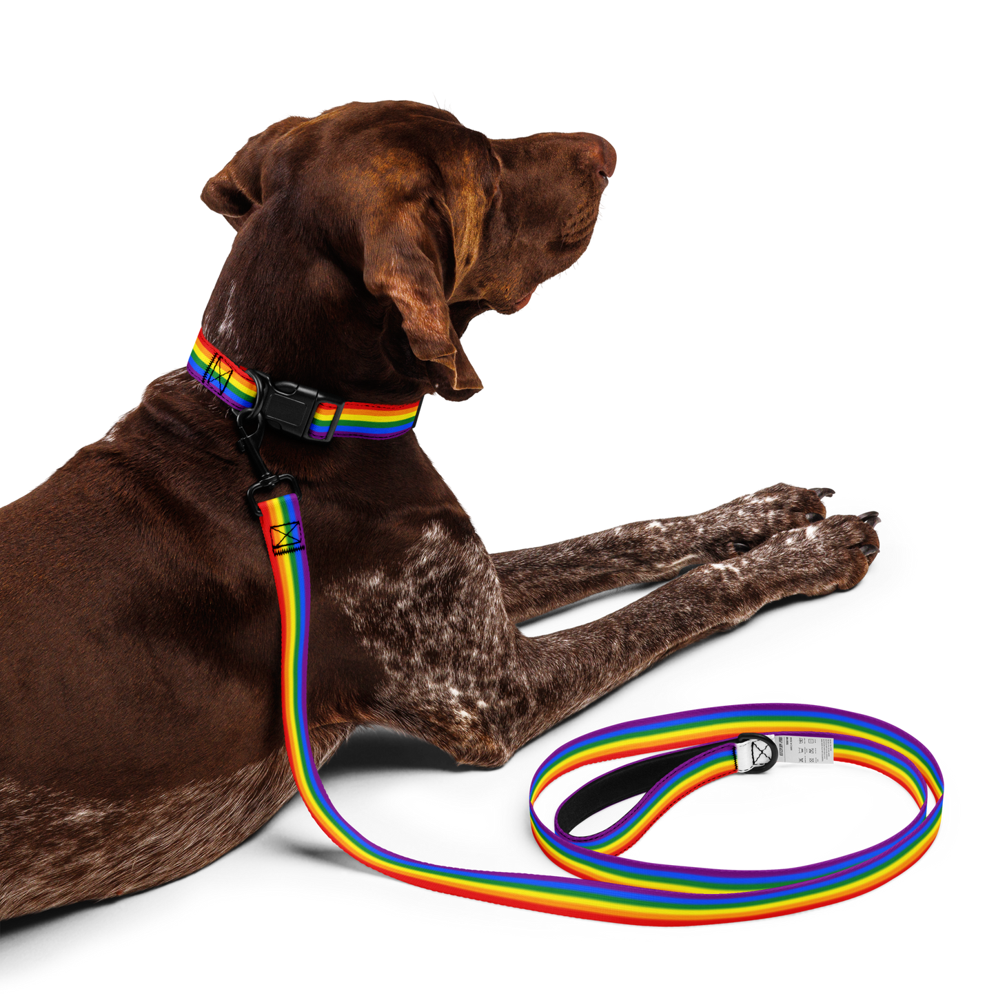 Good Girl Pet collar & leash