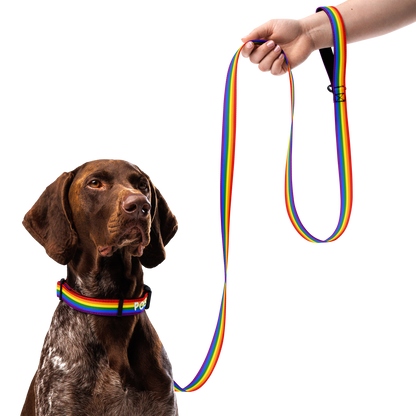 Poster (derogatory) Pet collar & leash