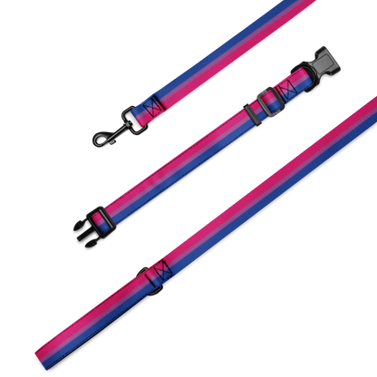 Bi Pride Flag Pet collar & leash